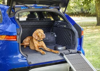 Jaguar cars go Pet-Friendly! Brings in Premium Accessories for Pets