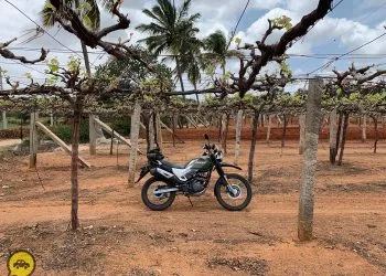 Hero XPulse 200 Review: Impulsive Off-roader at Great Price