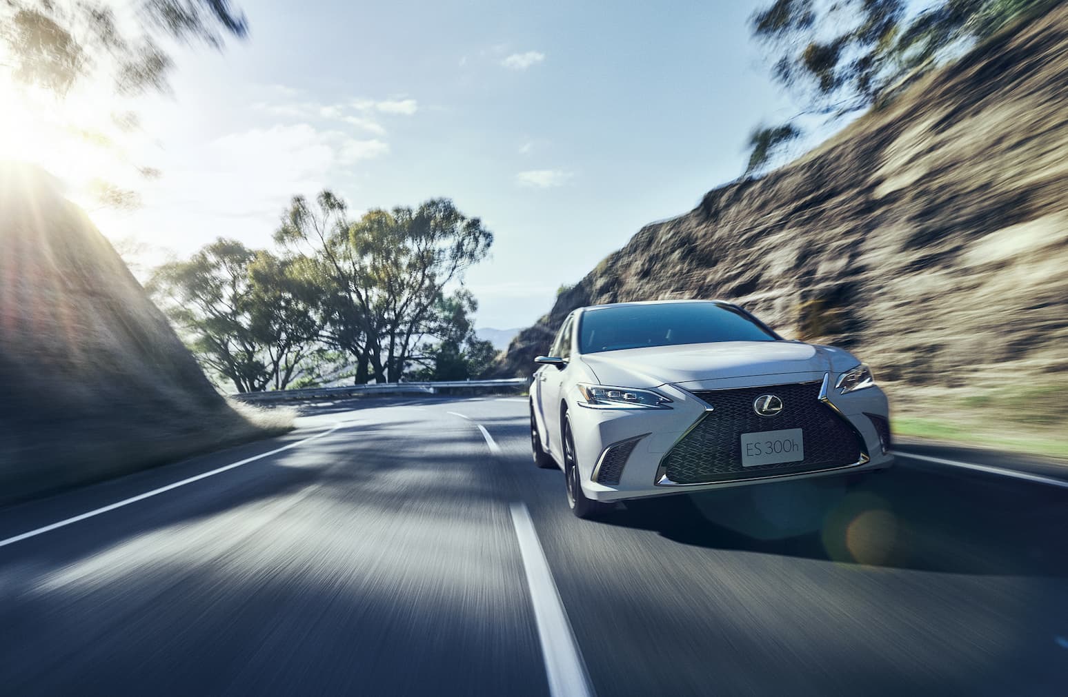 Lexus intelligence overview
