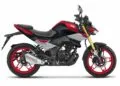 Honda Hornet 125cc Launched. Honda Hornet CB 125 Launch