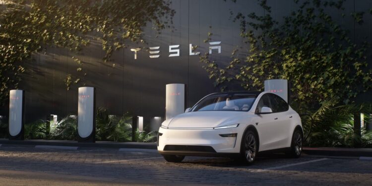 Tesla Model Y New Delhi