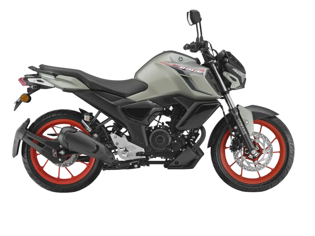 Yamaha FZ RAVE Silver Color